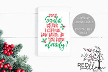 Load image into Gallery viewer, Dear Santa Before I Explain SVG - Red Willow Digital
