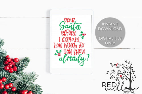 Dear Santa Before I Explain SVG - Red Willow Digital