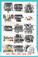 Load image into Gallery viewer, Oh My Gourd! Fall SVG Bundle for Cricut

